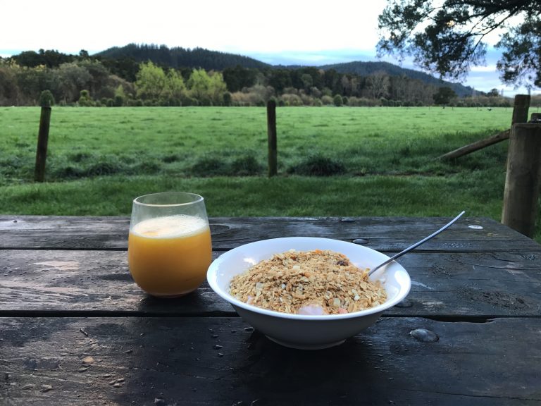 Breakfast in nature