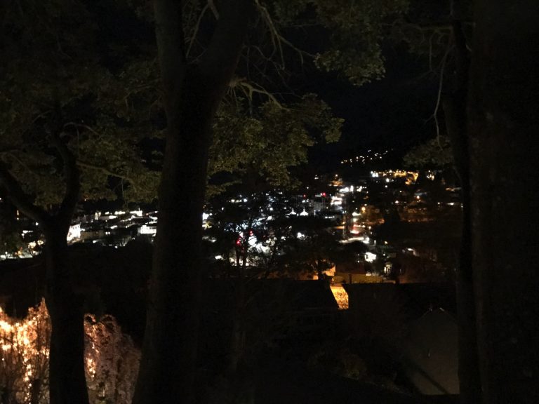 View at Queenstown by night