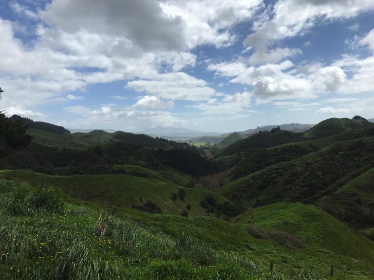 Beautiful New Zealand green hills