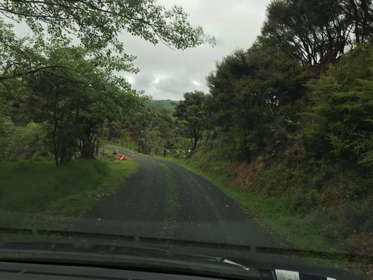 Driving on backroads of New Zealand
