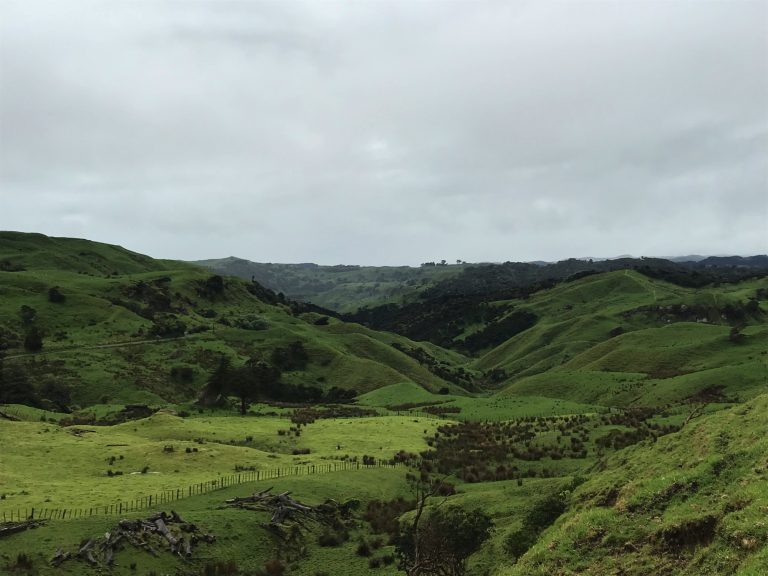 Driving through the green hills of New Zealand