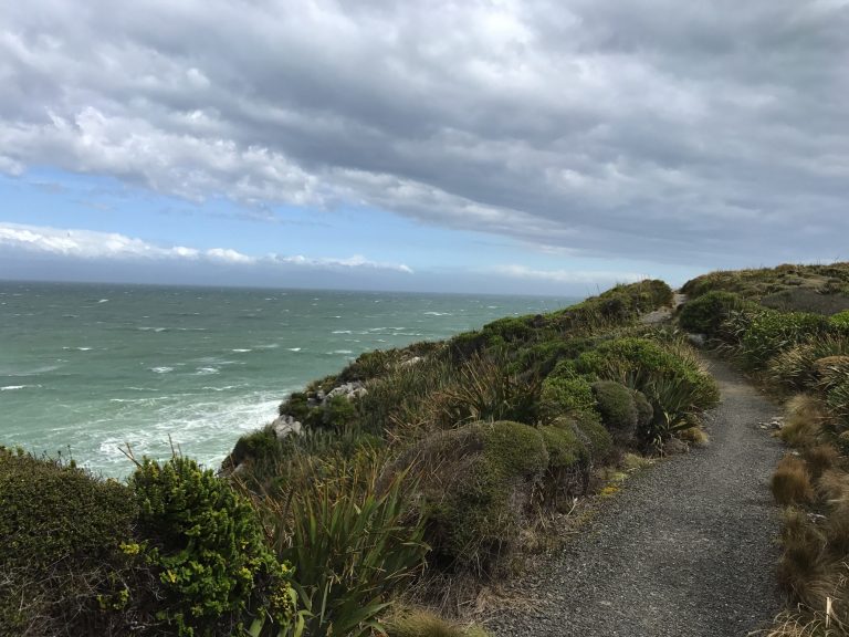 Hike To The Most South Point of New Zealand 2