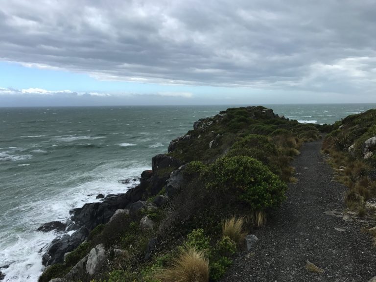 Hike To The Most South Point of New Zealand 3