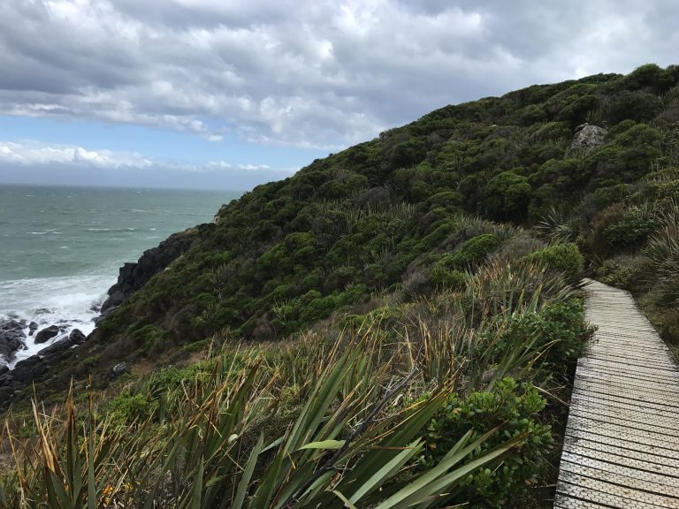 Hike To The Most South Point of New Zealand