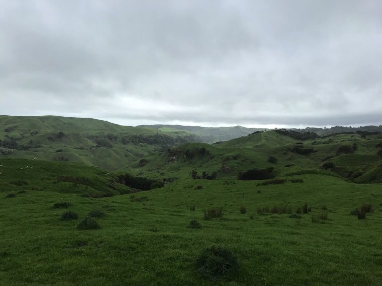 I hiked quite far through the green hills