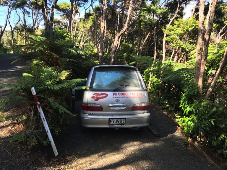 Parking in the jungle
