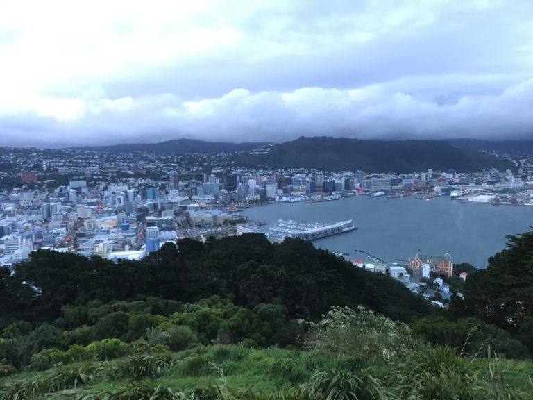 View from Mt. Victoria at Wellington