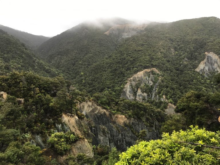 View from hike at the Putangirua Pinnacles
