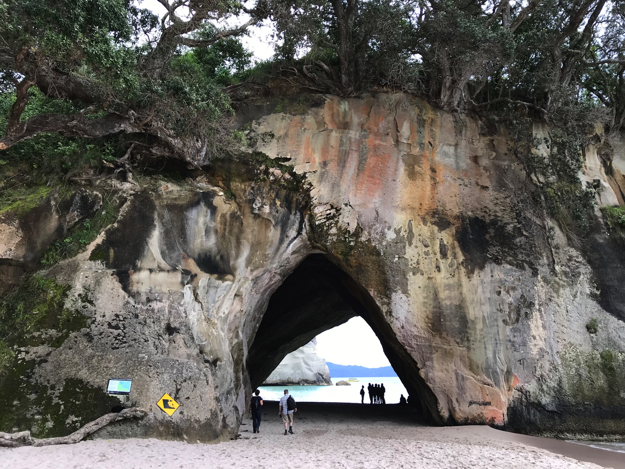 Cathedral cove - New Zealand Adventure